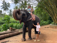/album/fotogaleria-sri-lanka-vy-a-my/sri-lanka-maldivy-zajazd-278-jpg3/